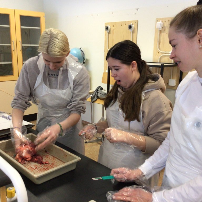 2a47e2f9-e559-4e1b-9322-9d977802dd1c