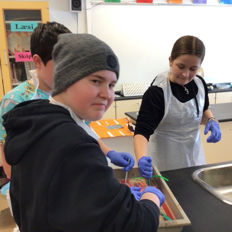 32a0ea47-b3f8-494f-887c-83a5336ace59