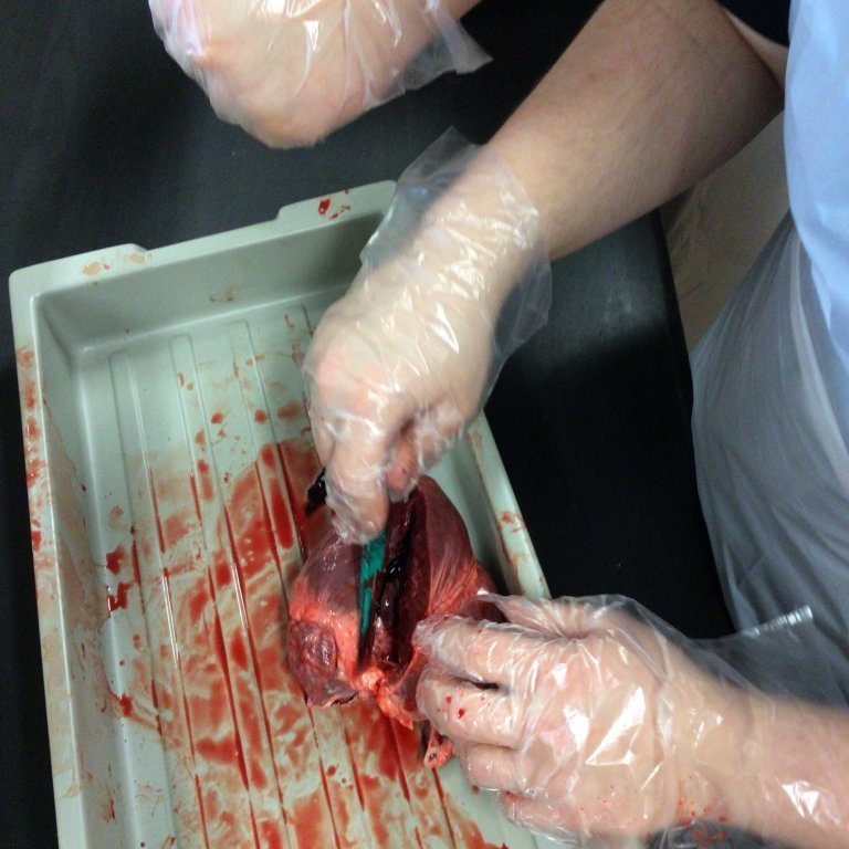 34e89213-b19d-42a1-a056-485f8798a0b6