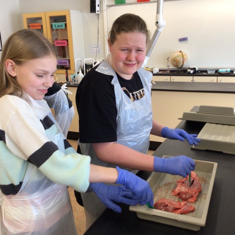 36046b58-7ace-4483-ac24-3b75a2b394a9