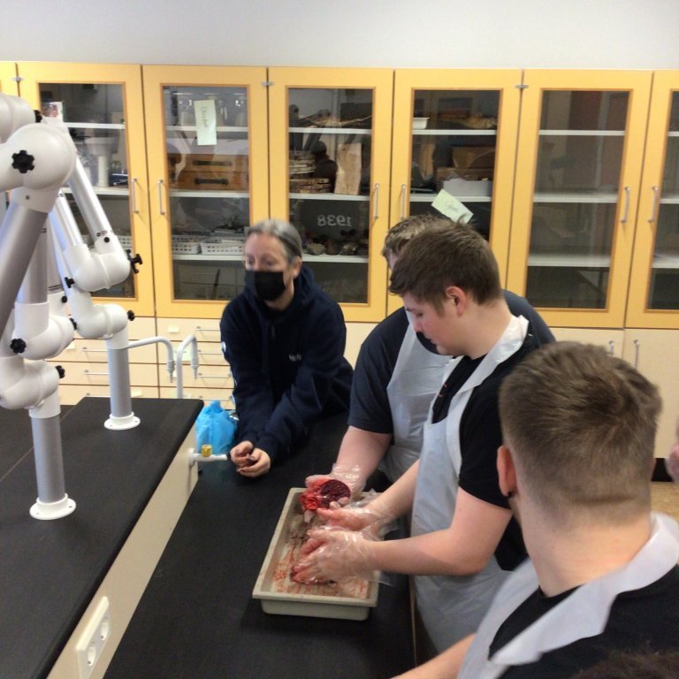 37685948-195f-4f01-be6a-1d040f6fffde