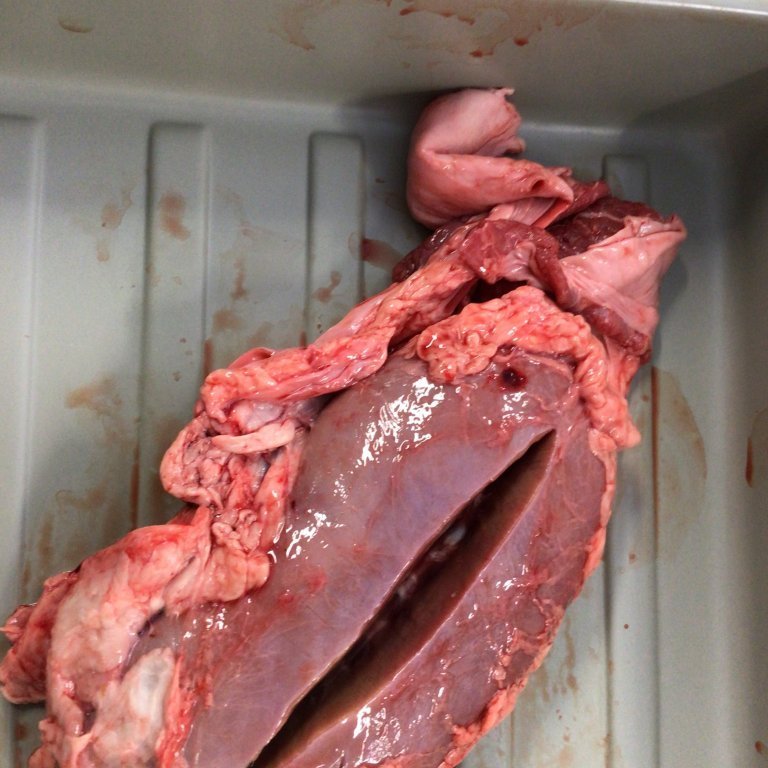 3ecf6510-6189-448f-92c8-206c472d39c5