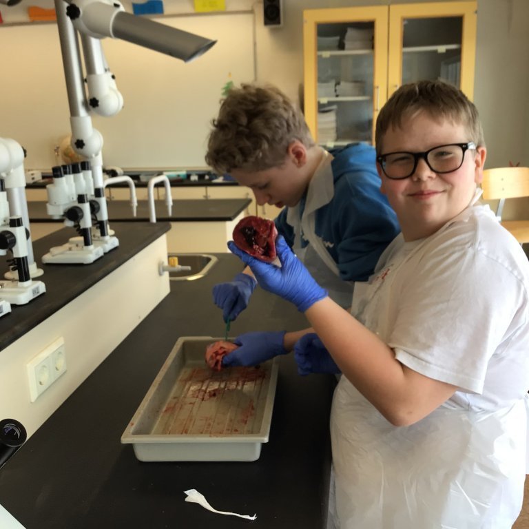 52a17a26-a9a4-4f86-a390-b930b3d00960