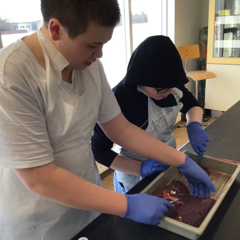 5421f778-53fc-4aa2-801a-7e3cdce35c46