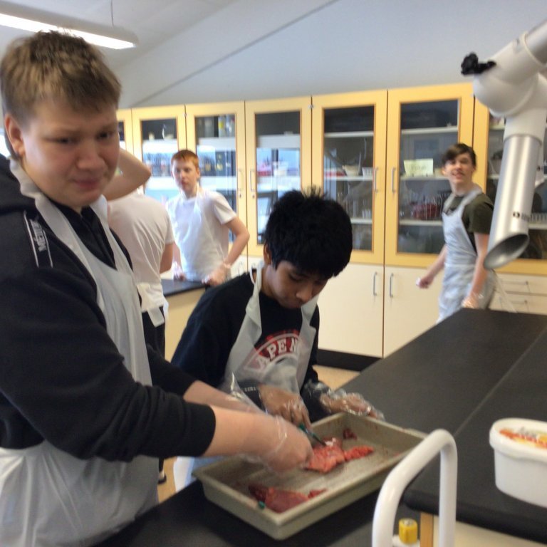 565944ca-7e77-4ea5-9864-f864ad69fcd3