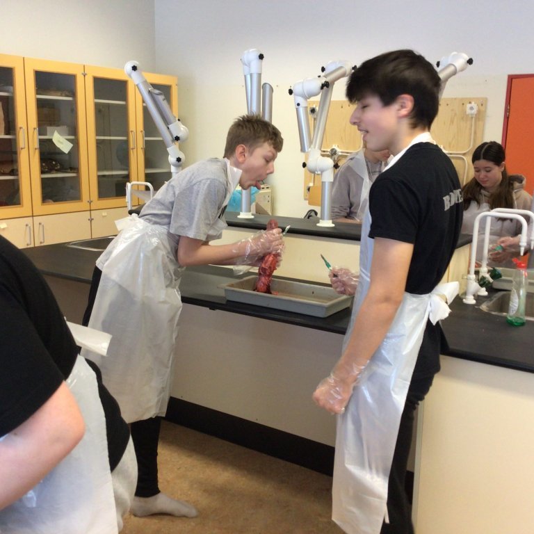 6f28a04c-52ba-4721-8b04-df0ed2f8ef5c