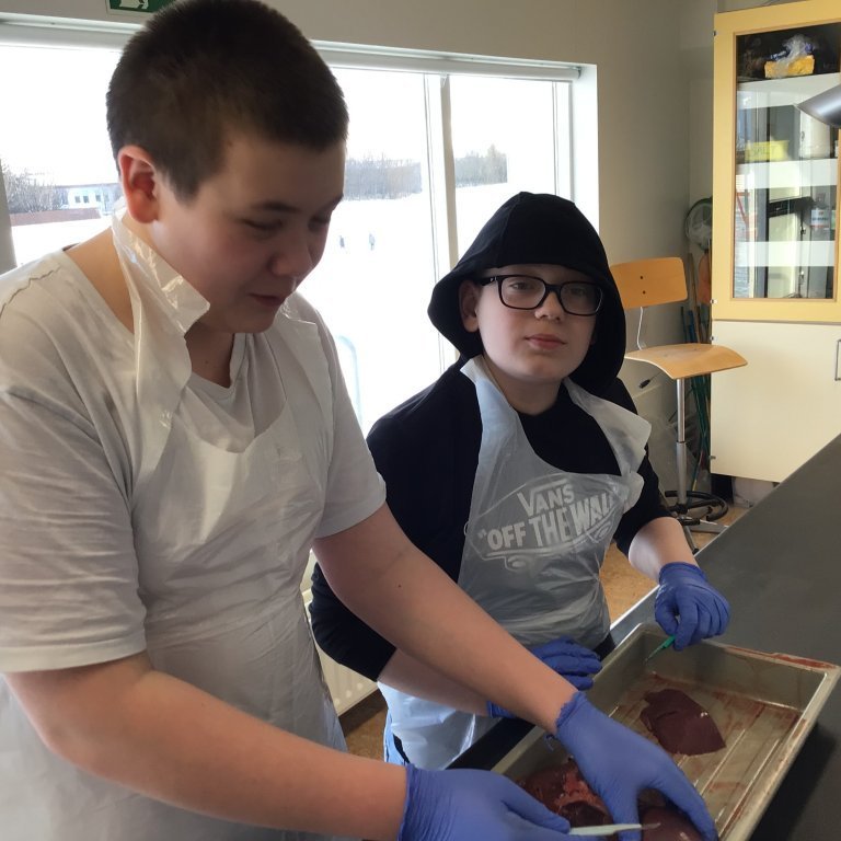 6f31bd35-7390-4d51-a007-d9d619482ebc