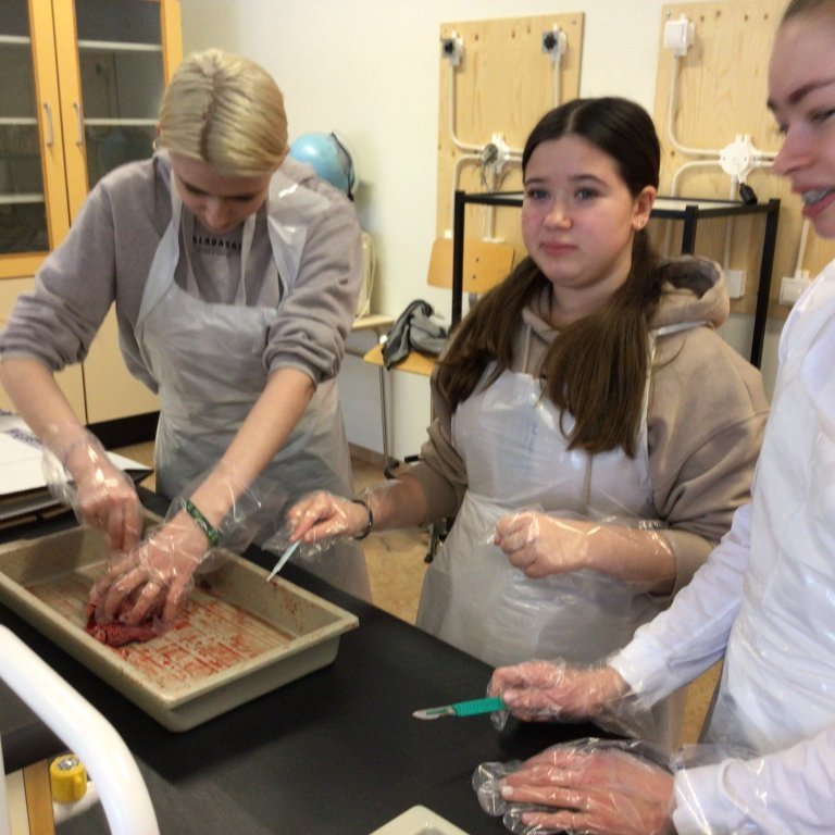 799b85ad-5dee-40a8-a1ba-c90a91dc3f00