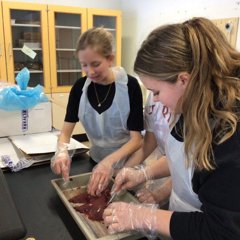 80959f23-500b-4a9a-8775-7a018f7217b7