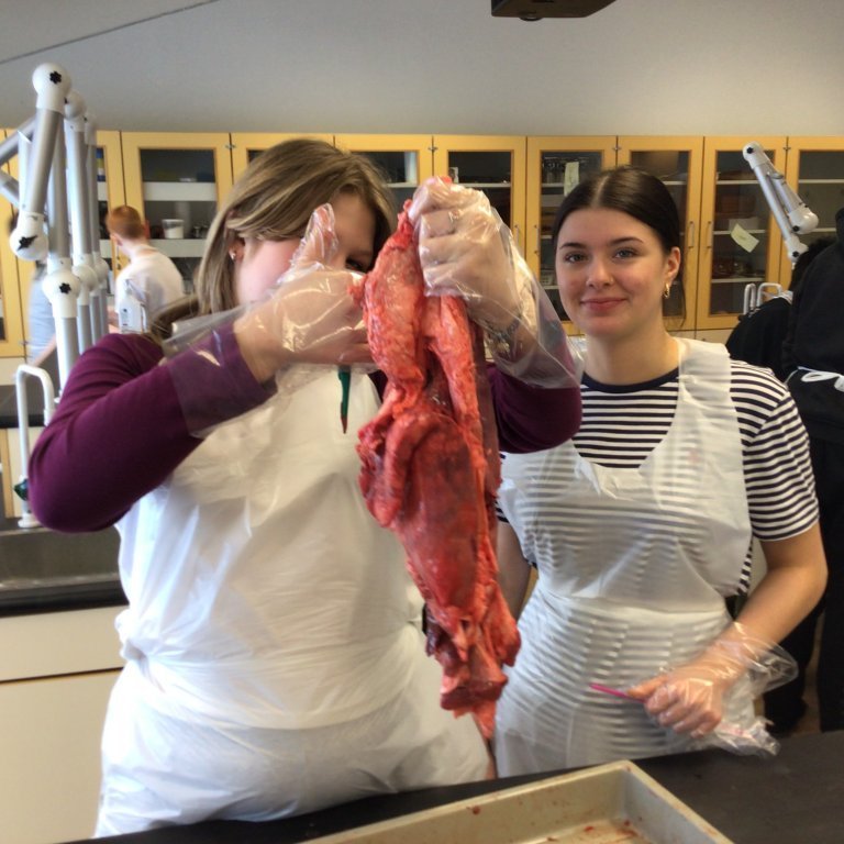 8dabfcbd-4f5b-481c-8aae-5f943f239ef5