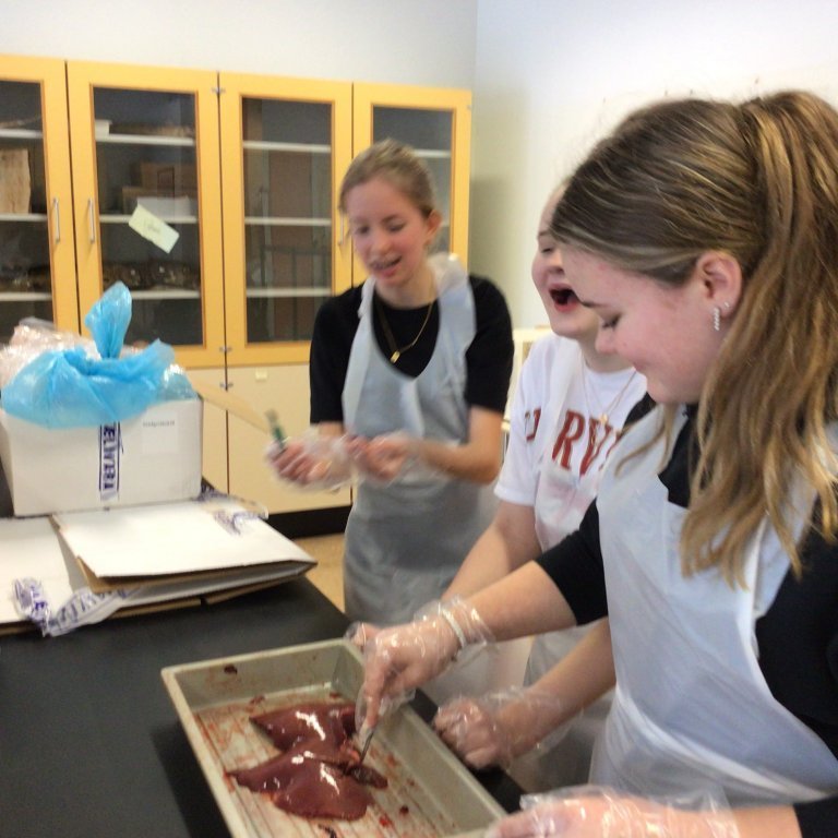 90da93f1-2cf7-4cf3-a3a0-0a24c054213e