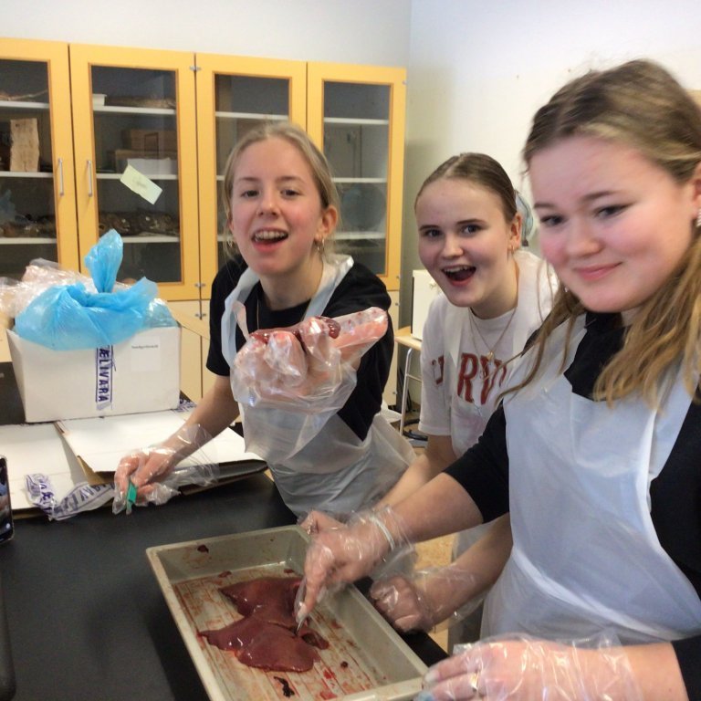 98e048f8-b24c-40de-a0ac-0c89098a95cb