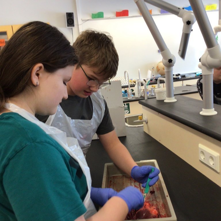 99dd3b3a-d309-4dba-ac68-f47b03af1235