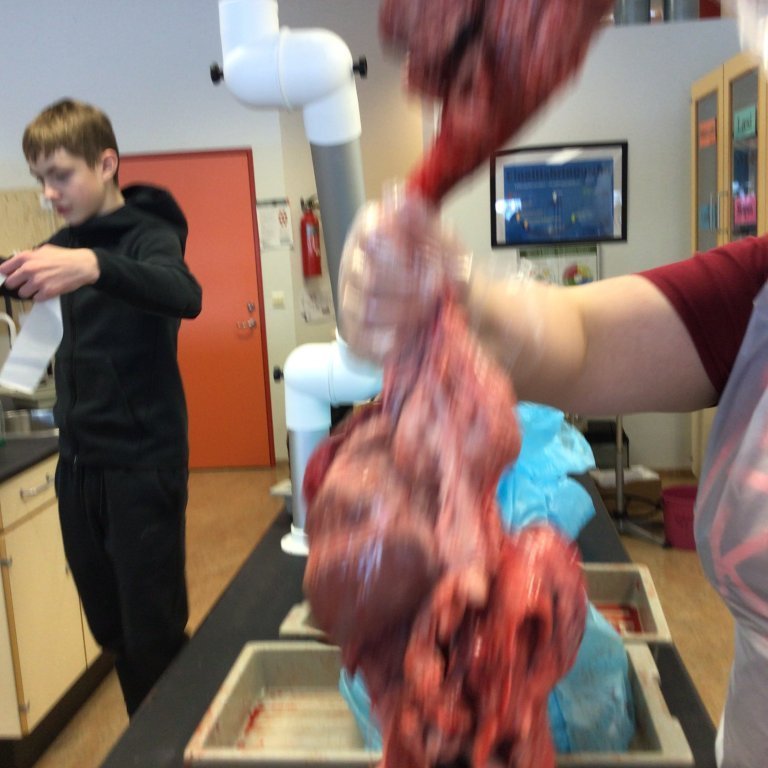 9c140e02-51b1-4d43-a45a-3d2697808861