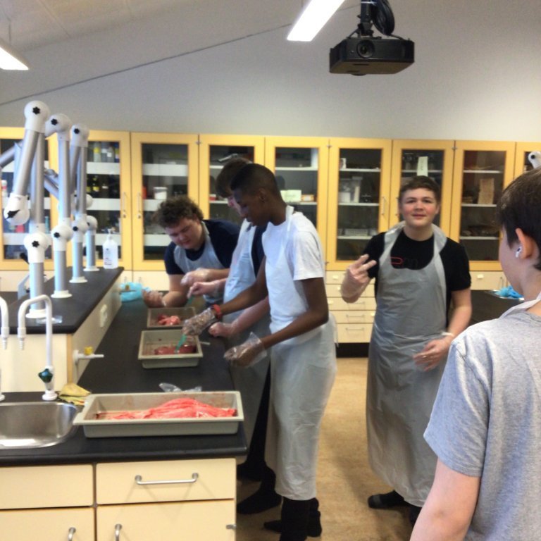 b37452c5-fdea-43ad-8ec5-de1232ded41c