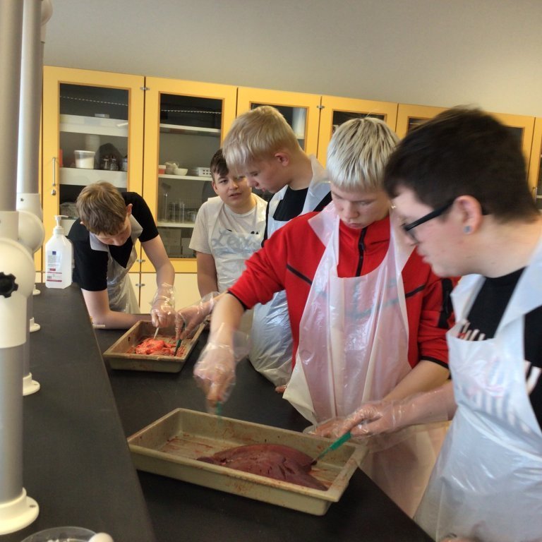 b4d471a1-7d39-4e33-9863-81c13dbfa15d