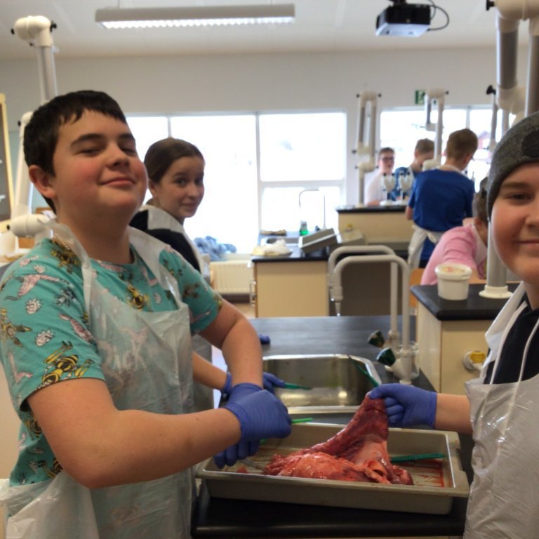 c803861f-e4a3-4f1c-aa0f-15dbb15e26a7