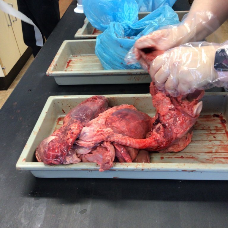 cd2ba5e1-fbda-48cd-b408-74f48fff13a7