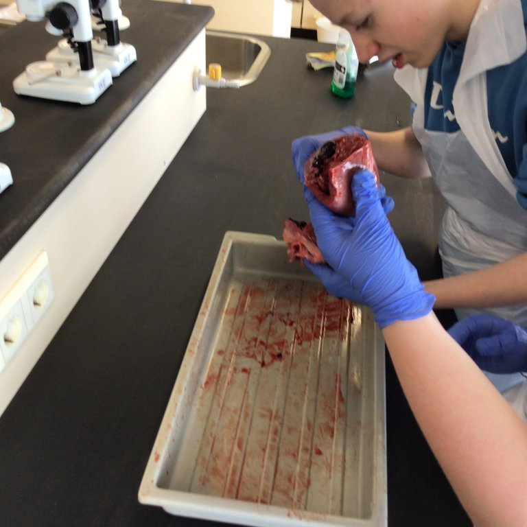 ce97b97b-93c3-44b8-8f36-63021866e51a