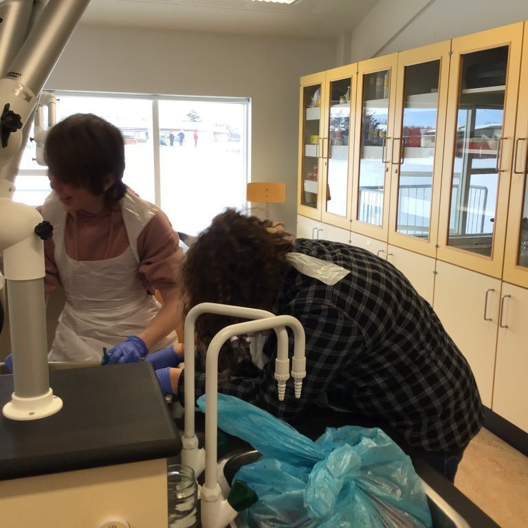 eb486807-6e5b-48fc-a45d-79fca96de7a0