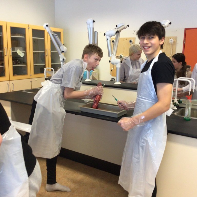 f21c0d54-09f5-4b65-9b47-1170d139aabd