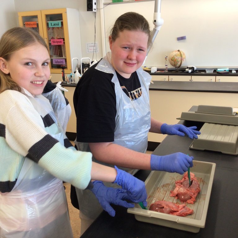 fe4b8187-1a2e-40cc-8174-86c56a1cf282