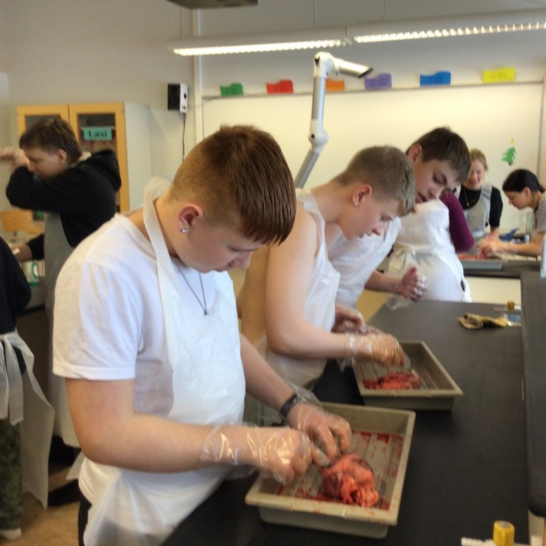 fe9b904c-18ca-4fdf-b823-ea68086f8502