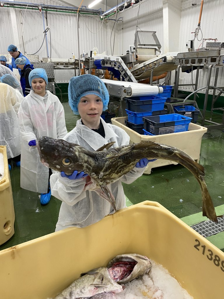 Vettvangsferð í Fiskverkunarfyrirtækið Ný-Fisk