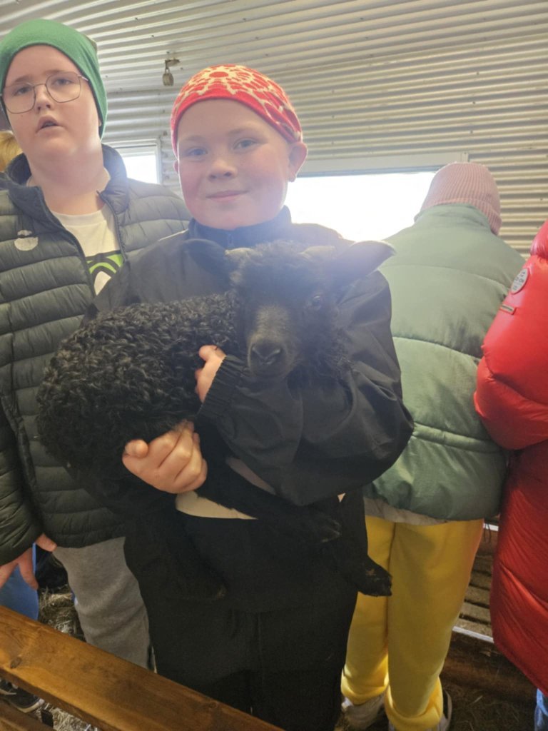 Vettvangsferð í fjárhúsið