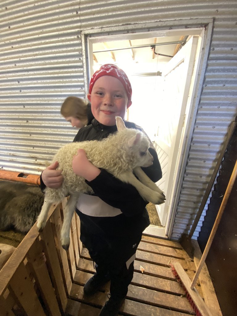 Vettvangsferð í fjárhúsið