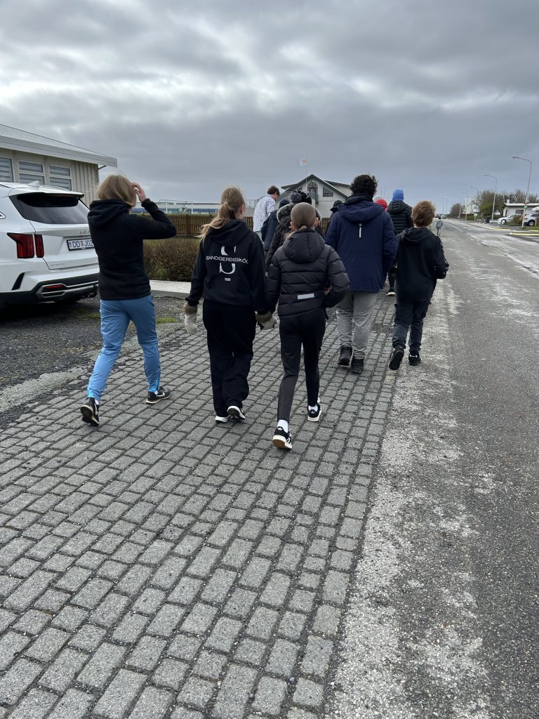 Vettvangsferð í fjárhúsið