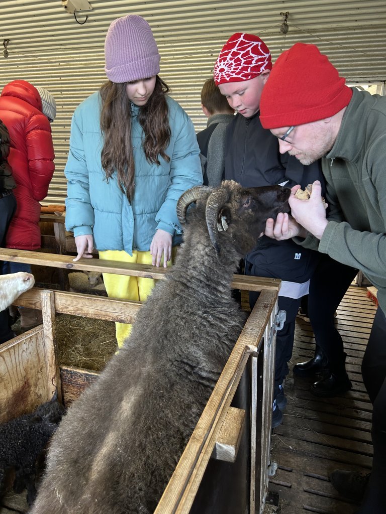Vettvangsferð í fjárhúsið