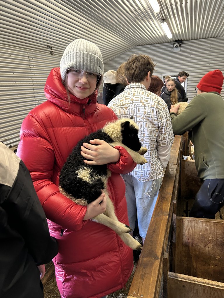 Vettvangsferð í fjárhúsið
