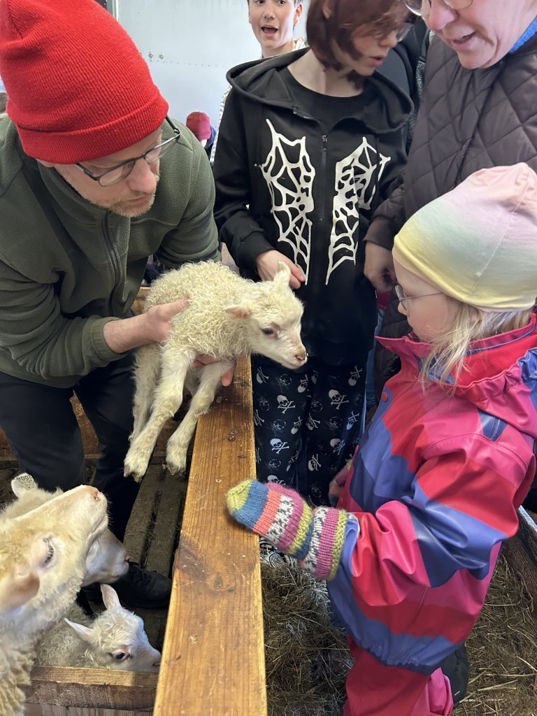 Vettvangsferð í fjárhúsið
