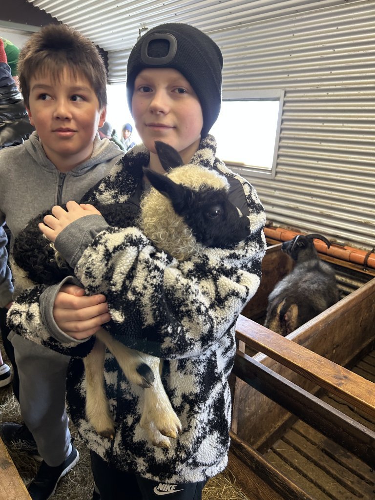 Vettvangsferð í fjárhúsið