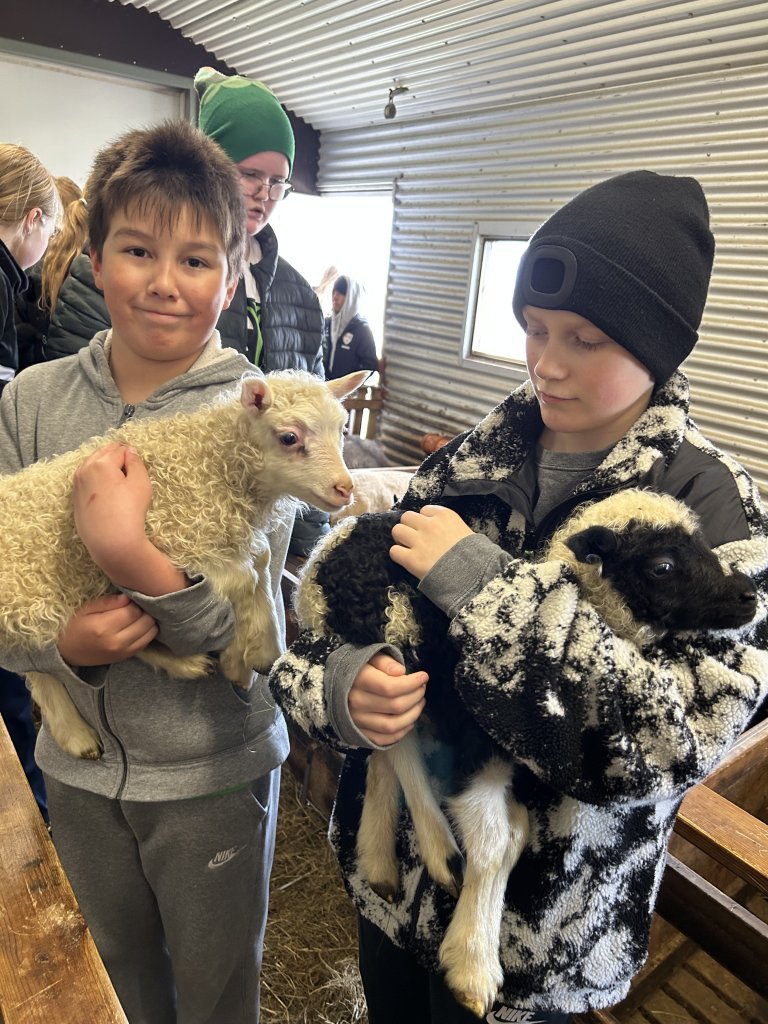 Vettvangsferð í fjárhúsið