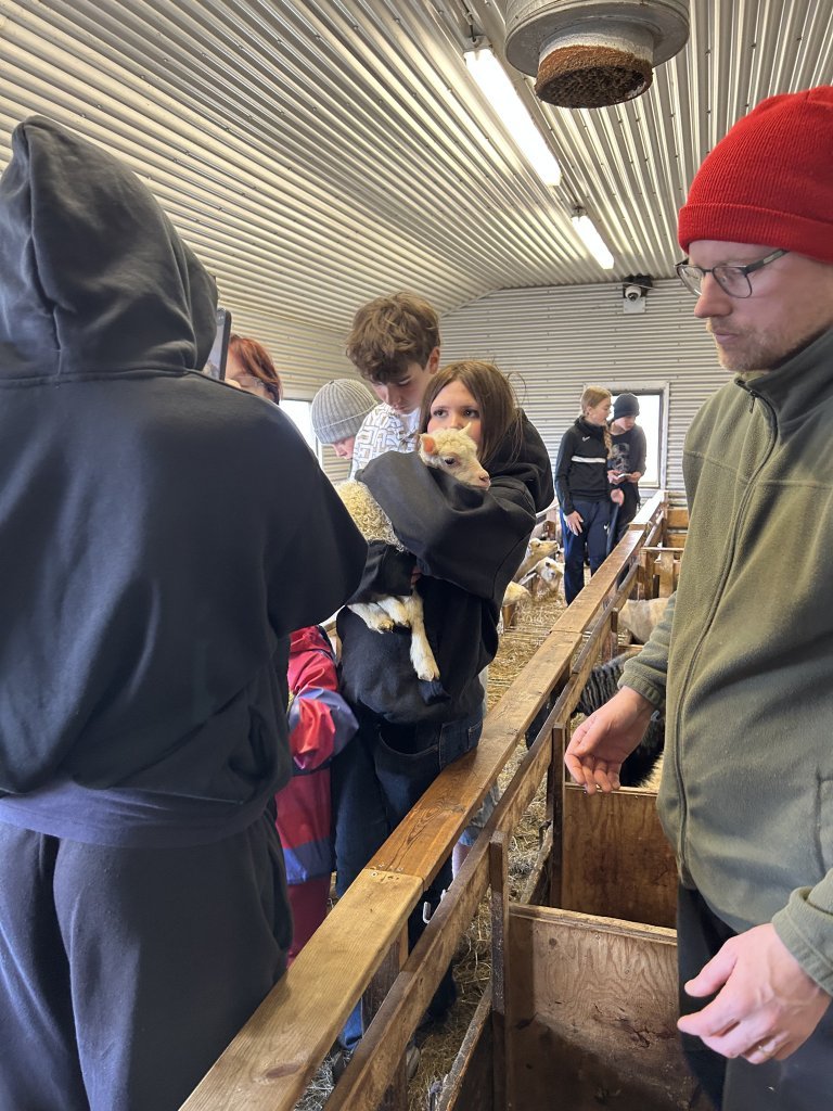 Vettvangsferð í fjárhúsið