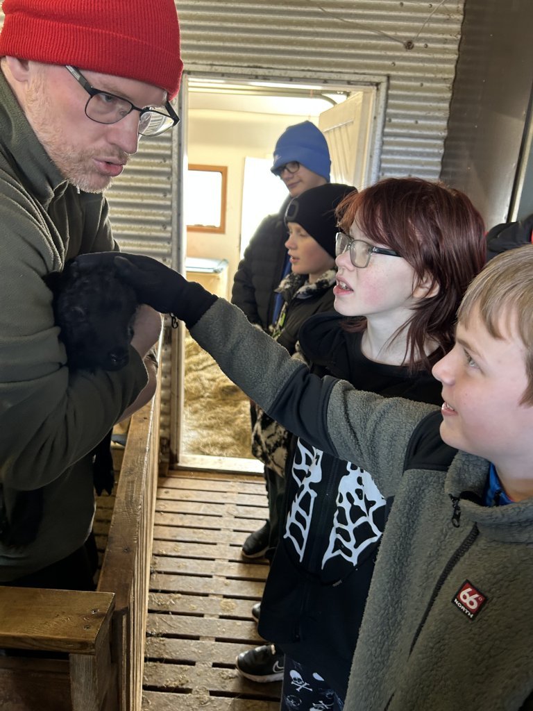 Vettvangsferð í fjárhúsið