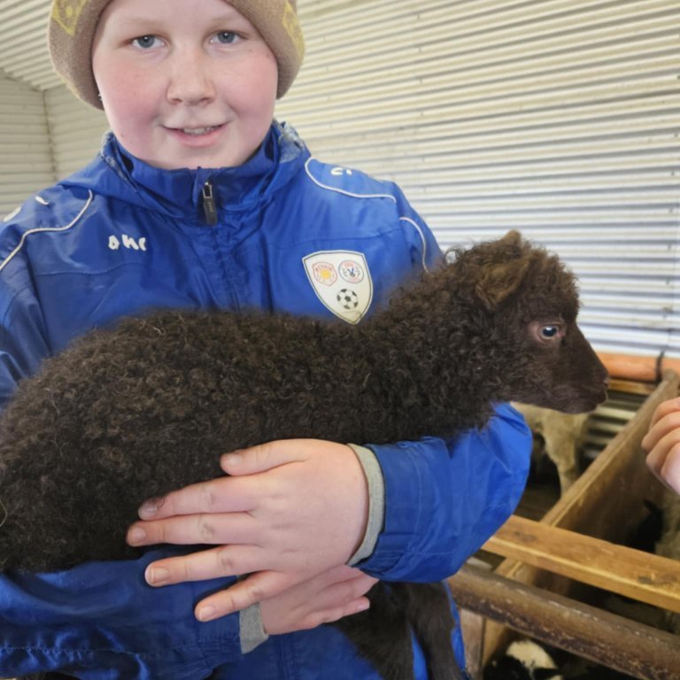 attvozjbjrjjqhrxnrlpicci0zfi1l2bec-xxrnbiz6o3u