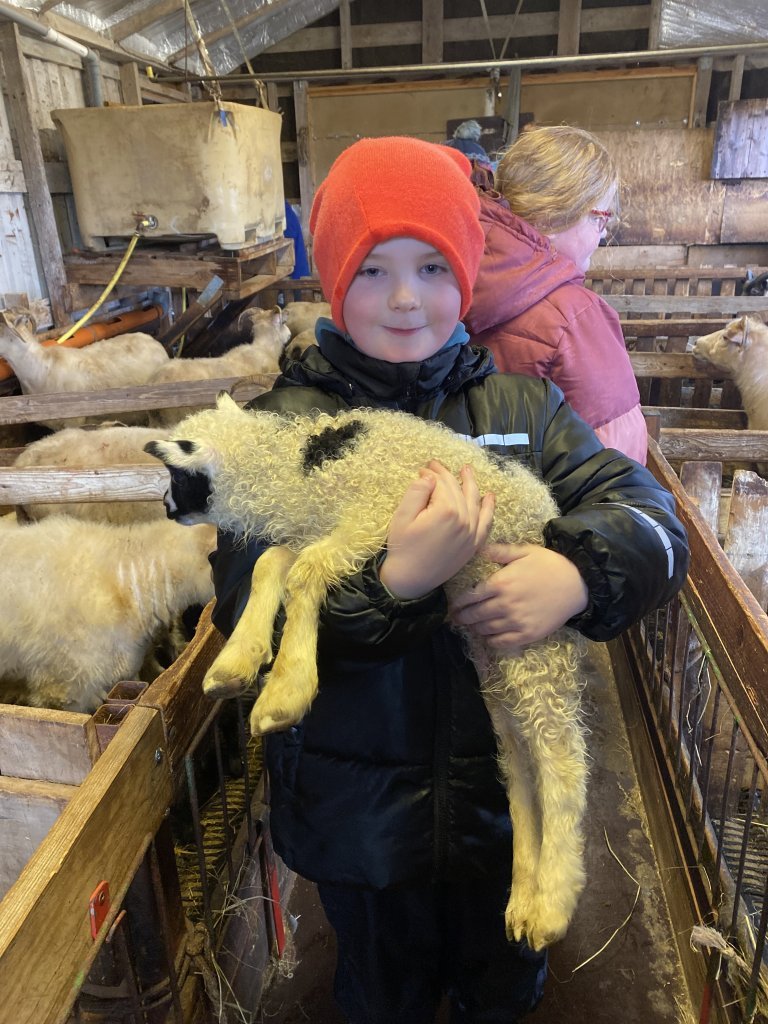 Vettvangsferð  í fjárhúsið 