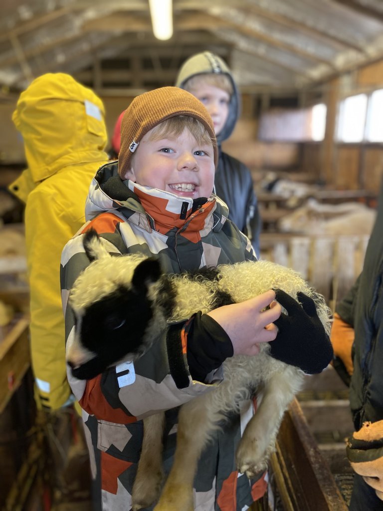 Vettvangsferð  í fjárhúsið 