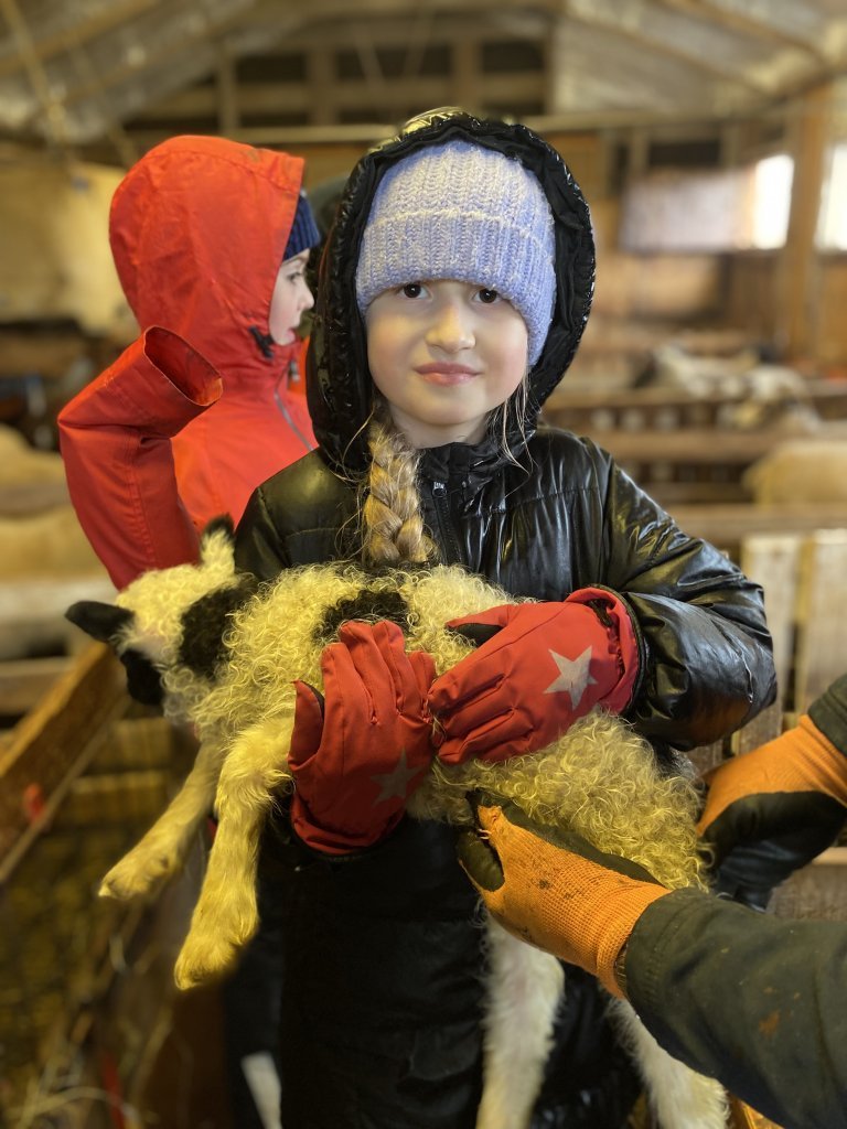 Vettvangsferð  í fjárhúsið 