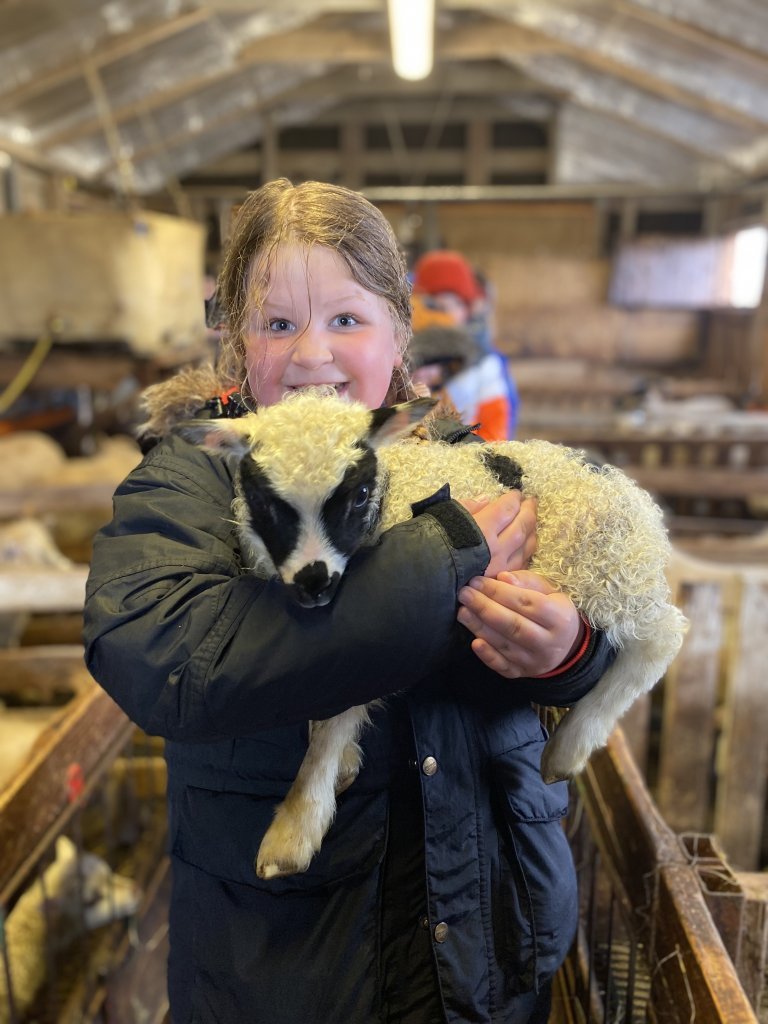 Vettvangsferð  í fjárhúsið 