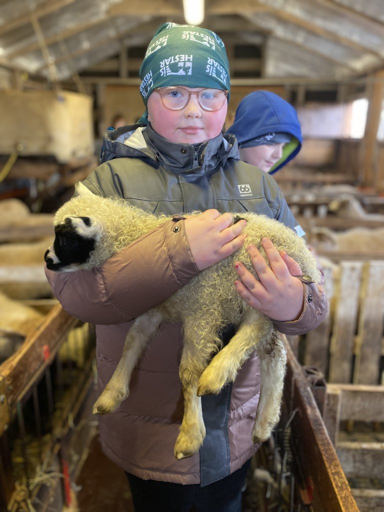 Vettvangsferð  í fjárhúsið 