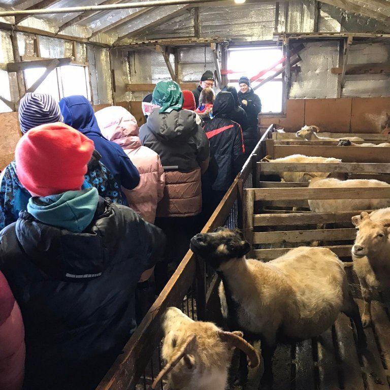 278984901_402744708106715_2071378926722590282_n