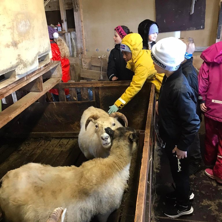 279024275_1068618803735308_5396182726686266333_n