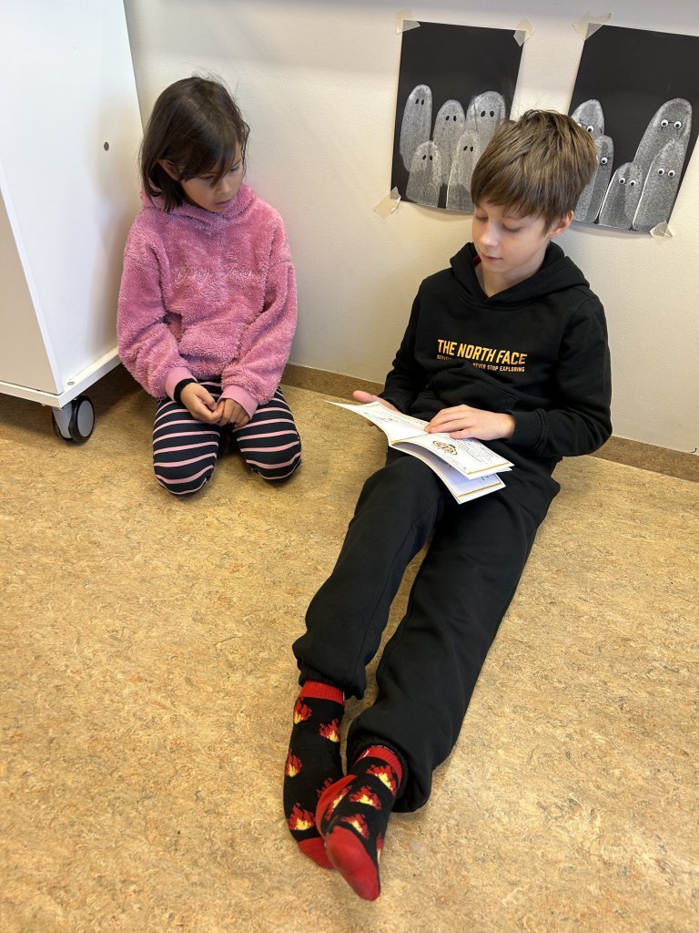 Vinabekkirnir 2. og 7. bekkur