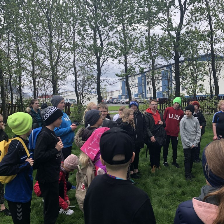 7768905581fc41305aac27923ec7e45e