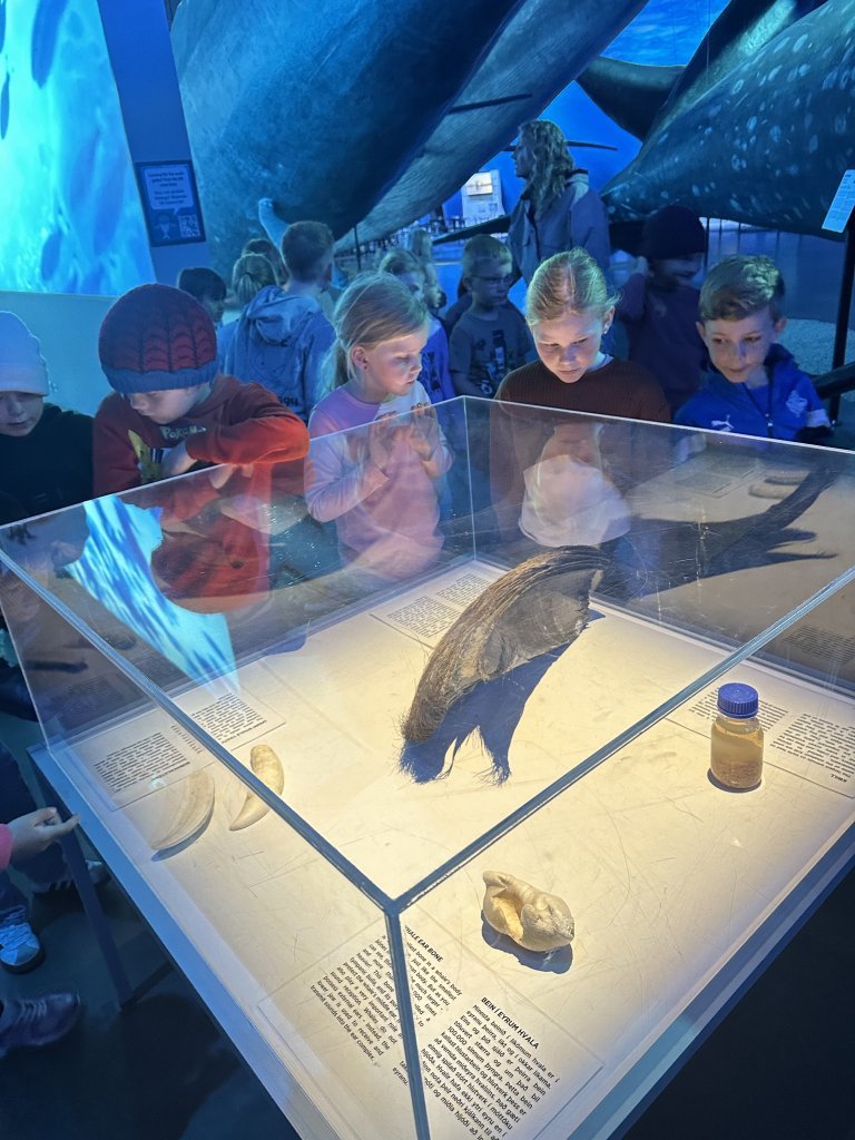 Vorferð 1. bekkjar