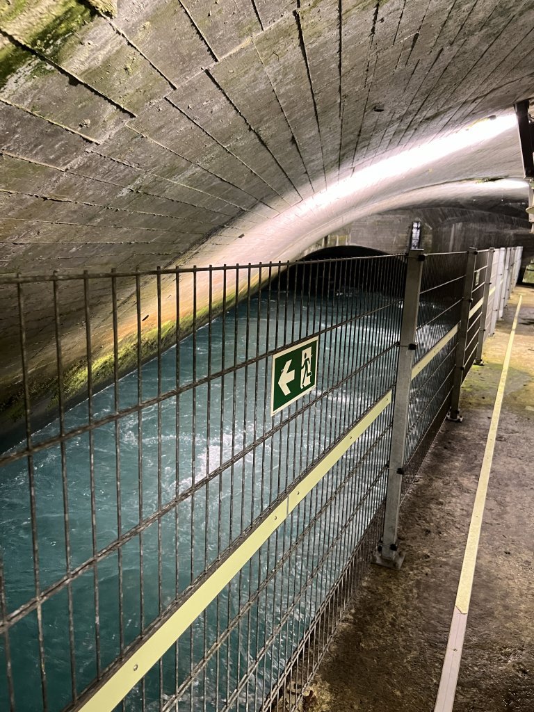 Vorferð 10. bekkjar